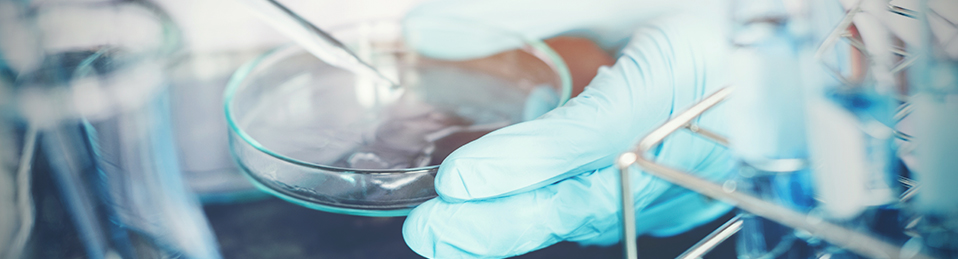 Persona con guantes analizando una muestra en un laboratorio